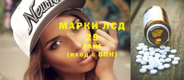 прущие грибы Бердск
