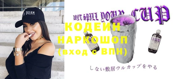 прущие грибы Бердск