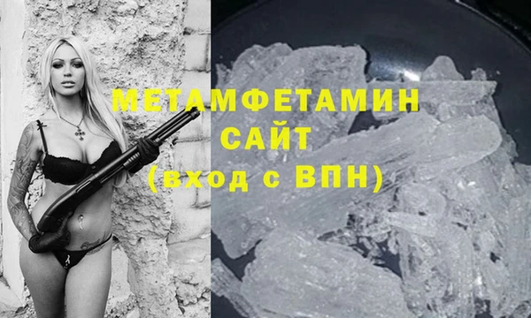 прущие грибы Бердск