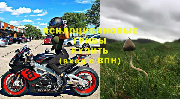 apvp Новый Уренгой