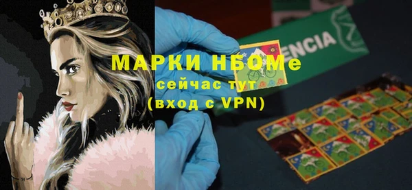 прущие грибы Бердск