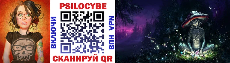 площадка телеграм  Бокситогорск  Галлюциногенные грибы Psilocybe 